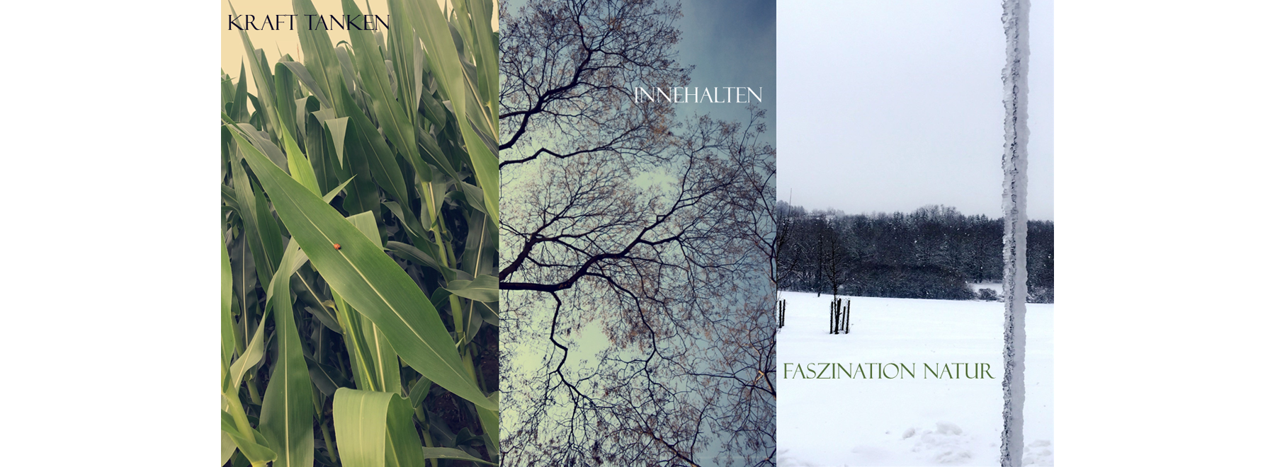 Onlinevernissage: Momente der Berührung